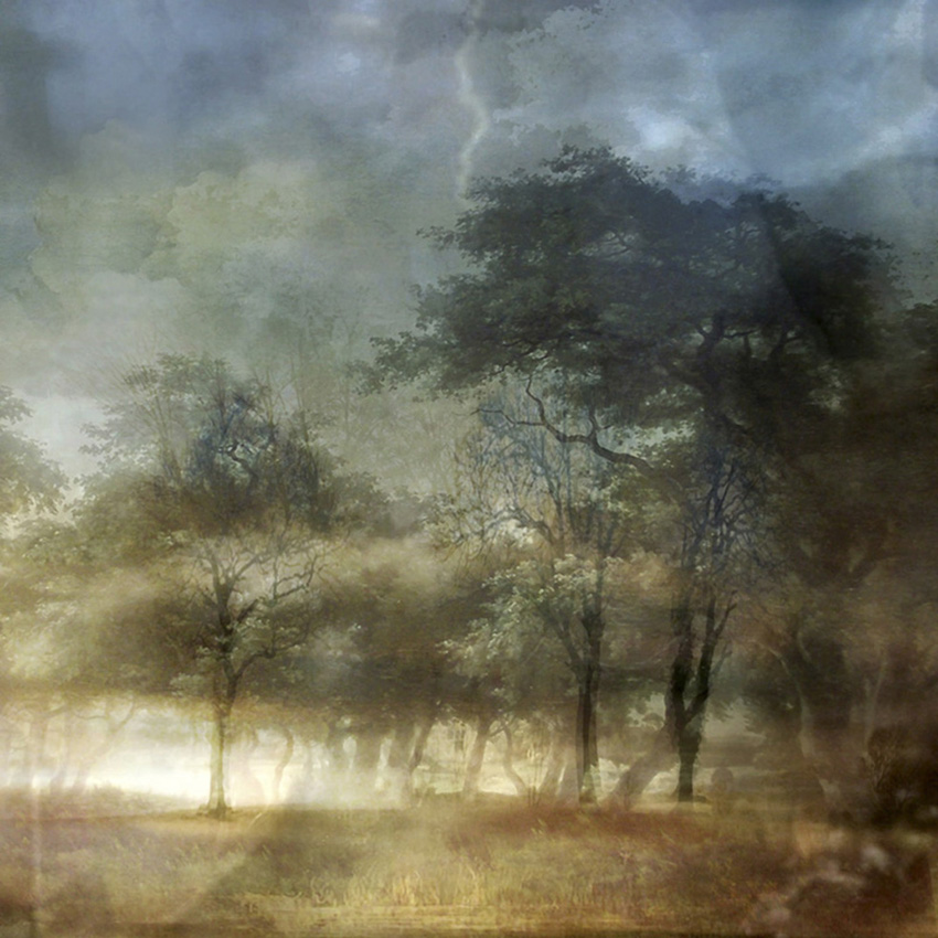 Lisa Holden - Storm Trees (from Series 