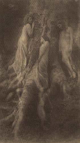 Nancy Ford Cones - Dryads - Three