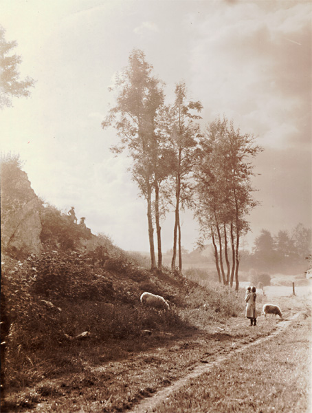 Leonard Misonne - Watching the Sheep