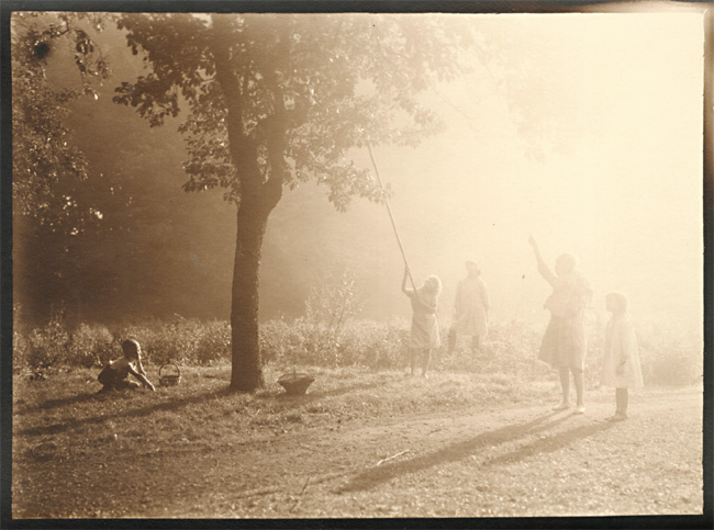 Leonard Misonne - Picking Fruit in the Sunlight