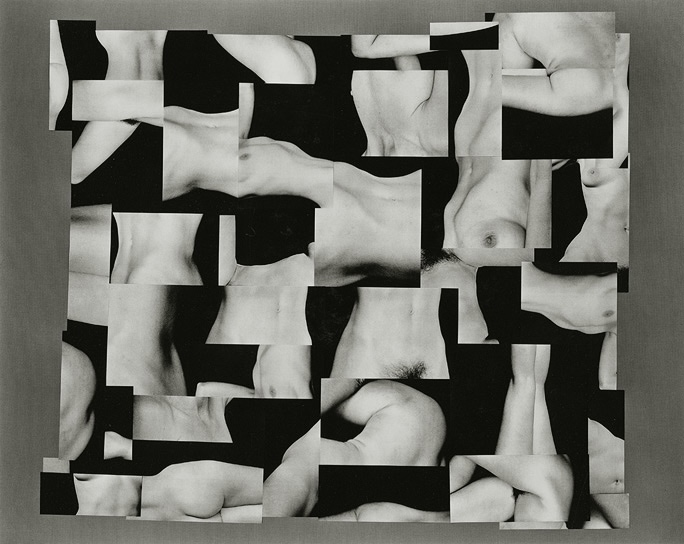 Paula Chamlee - Nude Collage #1 Paula Chamlee - Nude Collage #1