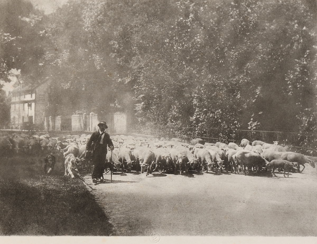 Constant Emile Puyo - Shepherd and His Flock