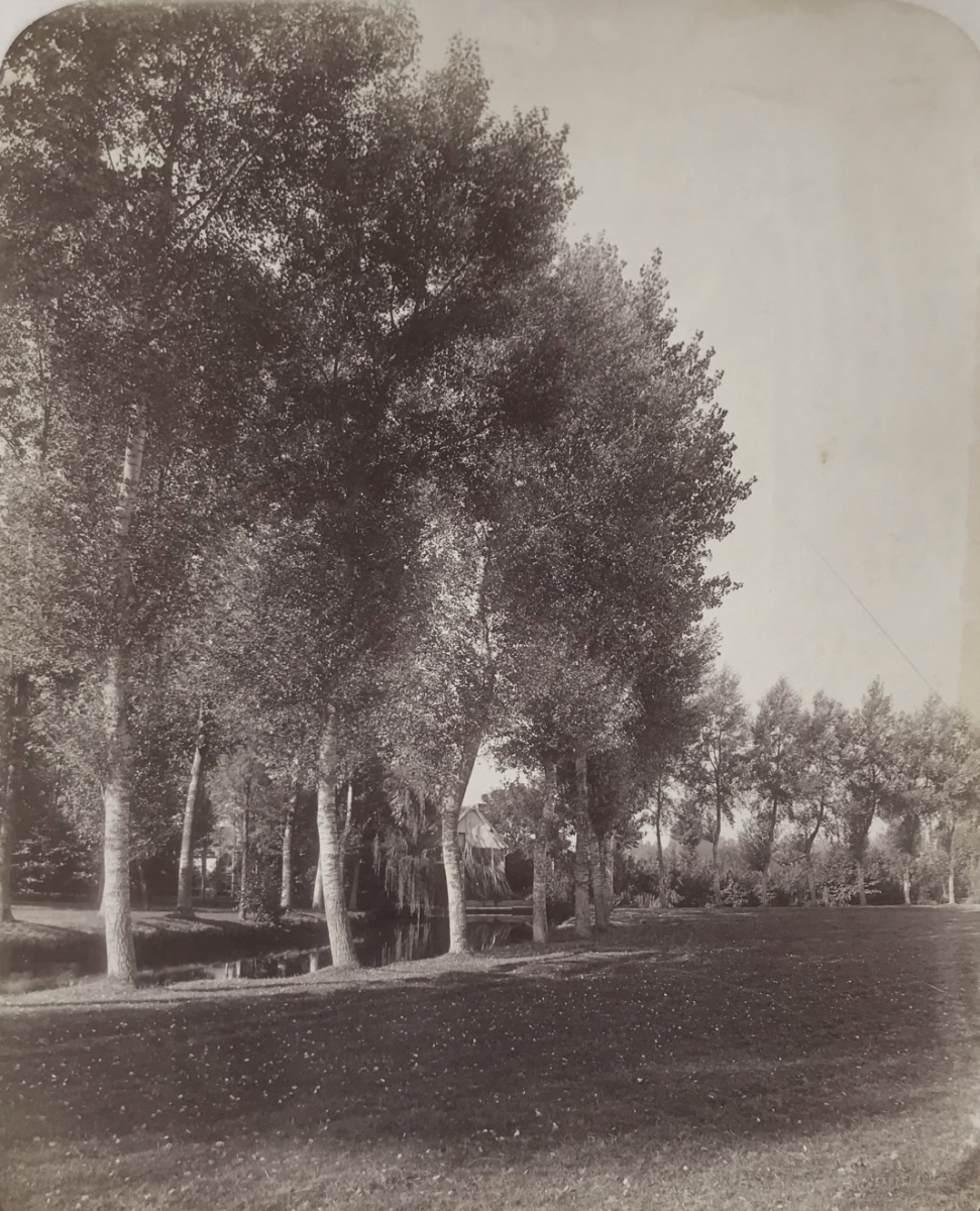 Alphonse François Jeanrenaud - Trees and River