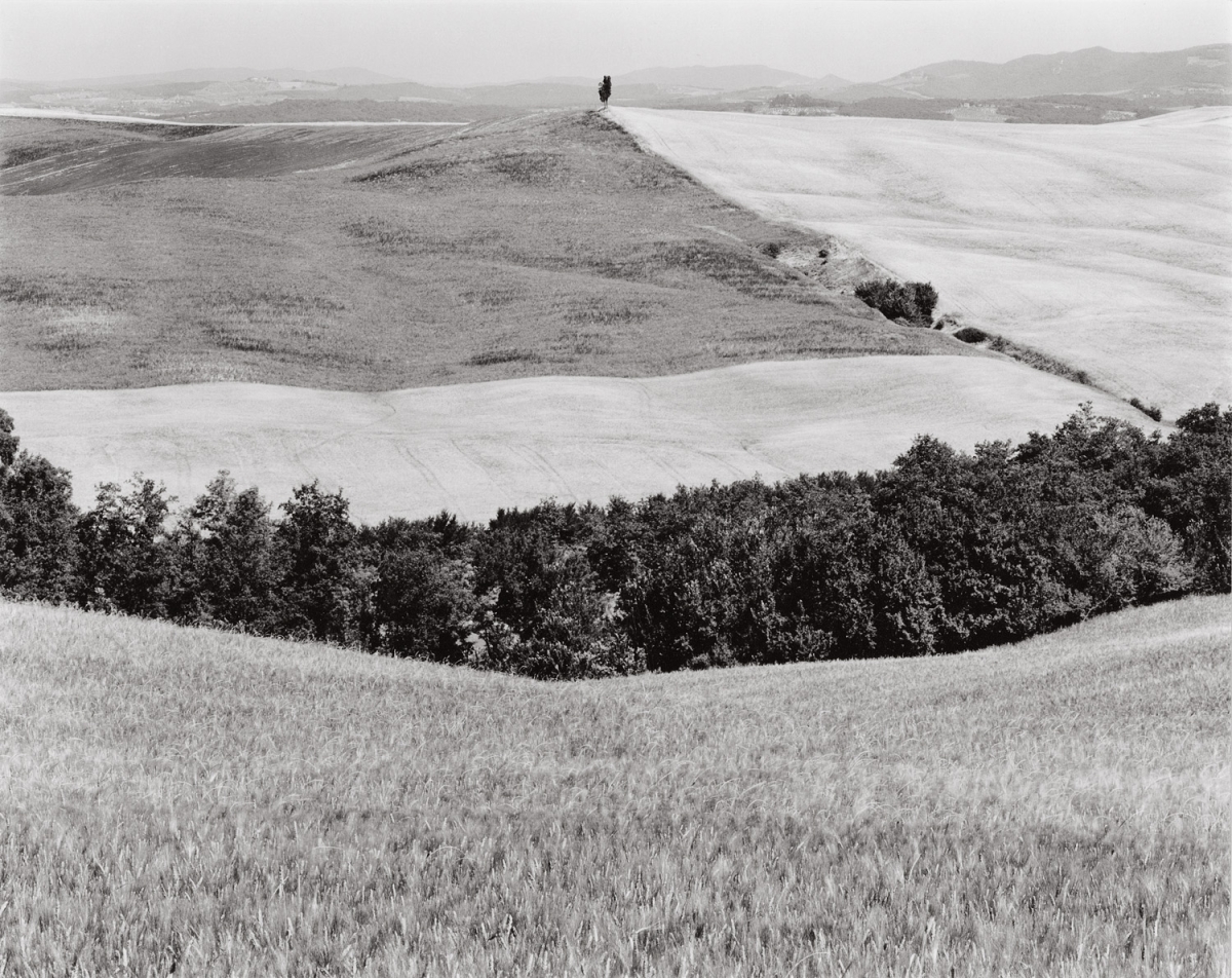 Paula Chamlee - Le Crete region, Tuscany, 1999 Paula Chamlee - Le Crete region, Tuscany, 1999