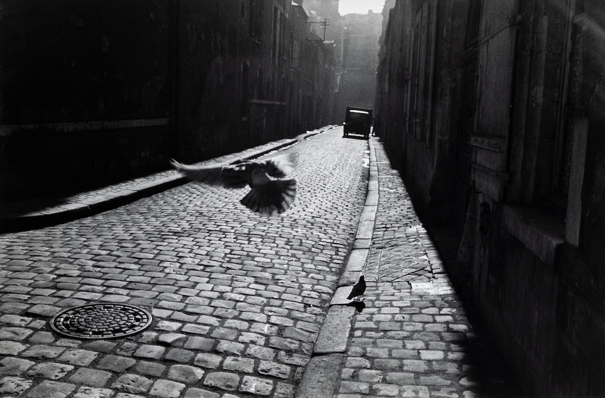 Elliott Erwitt - Orleans, France