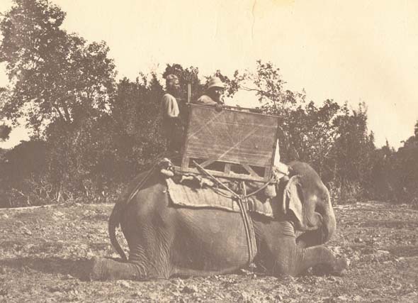 Anonymous - Elephant: The How-da and Litchmer, Old decoys