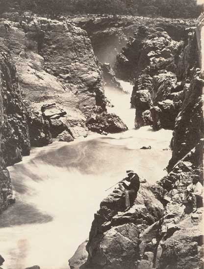 Elephant on Beat and The Goat's Leap Elephant on Beat and The Goat's Leap