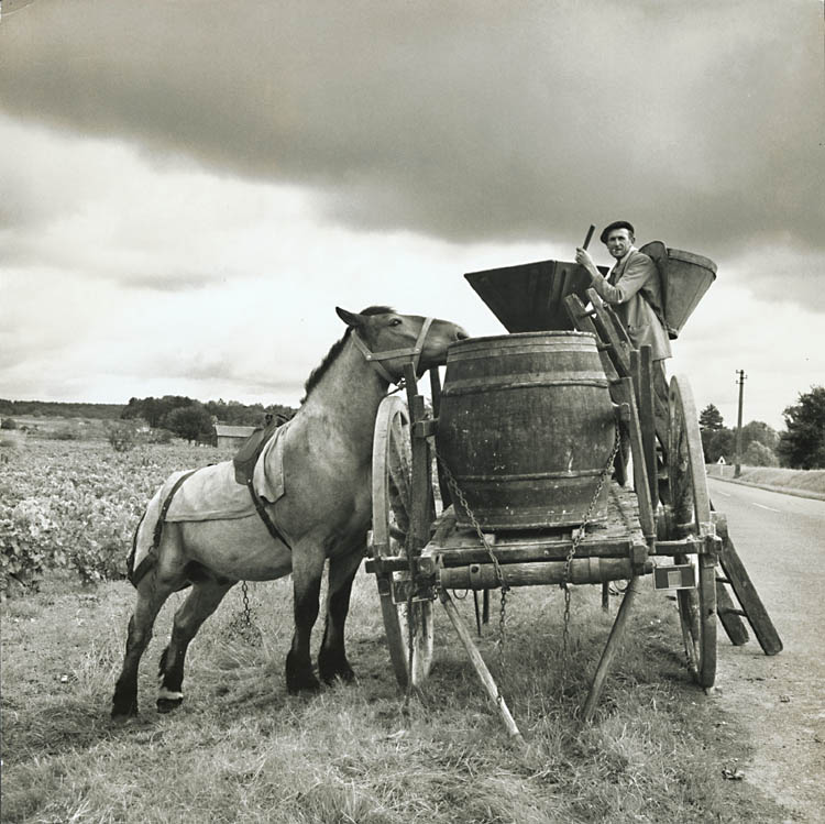 Fritz Henle - Winemaking, Loire, France Fritz Henle - Winemaking, Loire, France